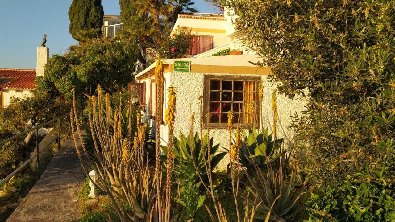 Willkommen Im Paradies - Welcome In Paradise - Bienvenidos Al Paraiso La Matanza De Acentejo Eksteriør billede